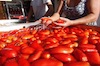 Lavaggio pomodori per salsa Lavaggio pomodori per salsa