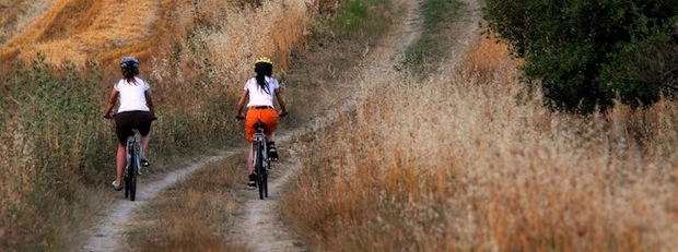 Mountain Bike in Agriturismo Mountain Bike in Agriturismo