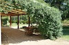 Agriturismo Tipico