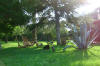 Agriturismo Tipico