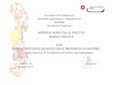 Certificato camera di commercio