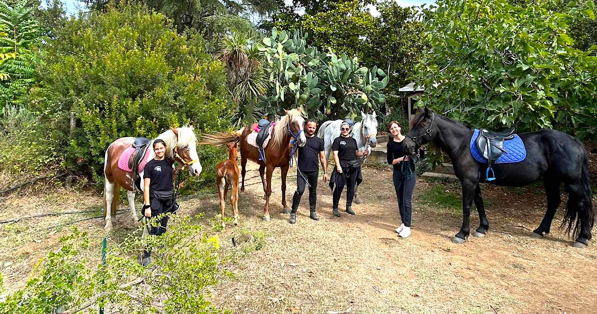 Passeggiata a cavallo in fattoria per bambini