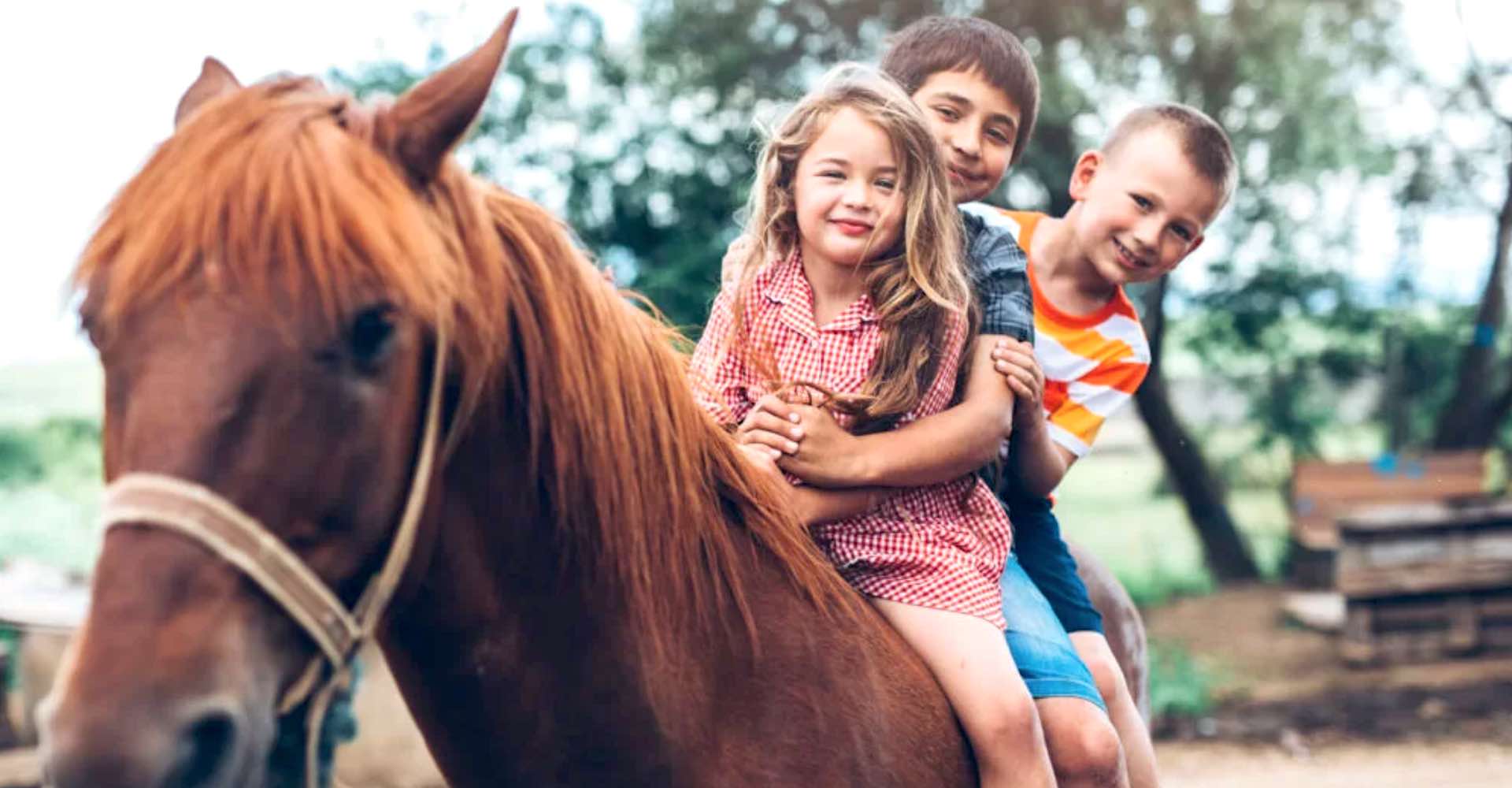Passeggiata a cavallo in fattoria per bambini