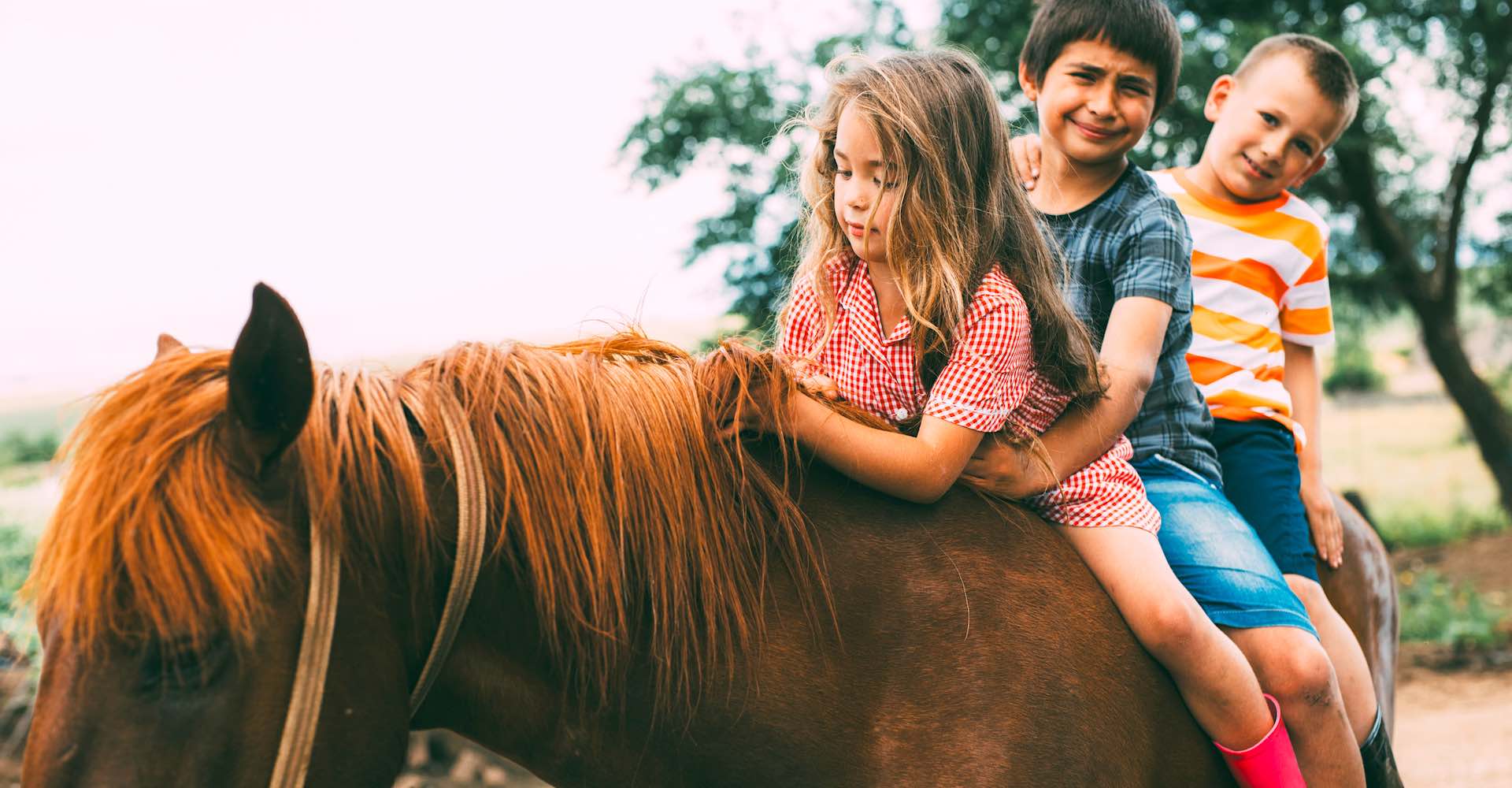 Passeggiata a cavallo in fattoria per bambini