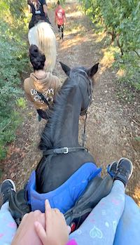 Passeggiata a cavallo per bambini