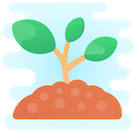 Dal Fiore al Frutto