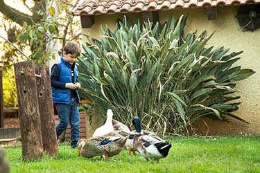 Oche bambini fattoria didattica azienda agrituristica Il Pago