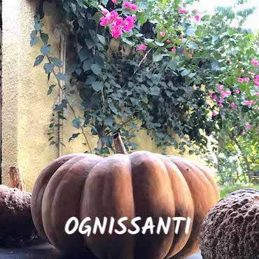 Ponte Ognissanti in Agriturismo Basilicata