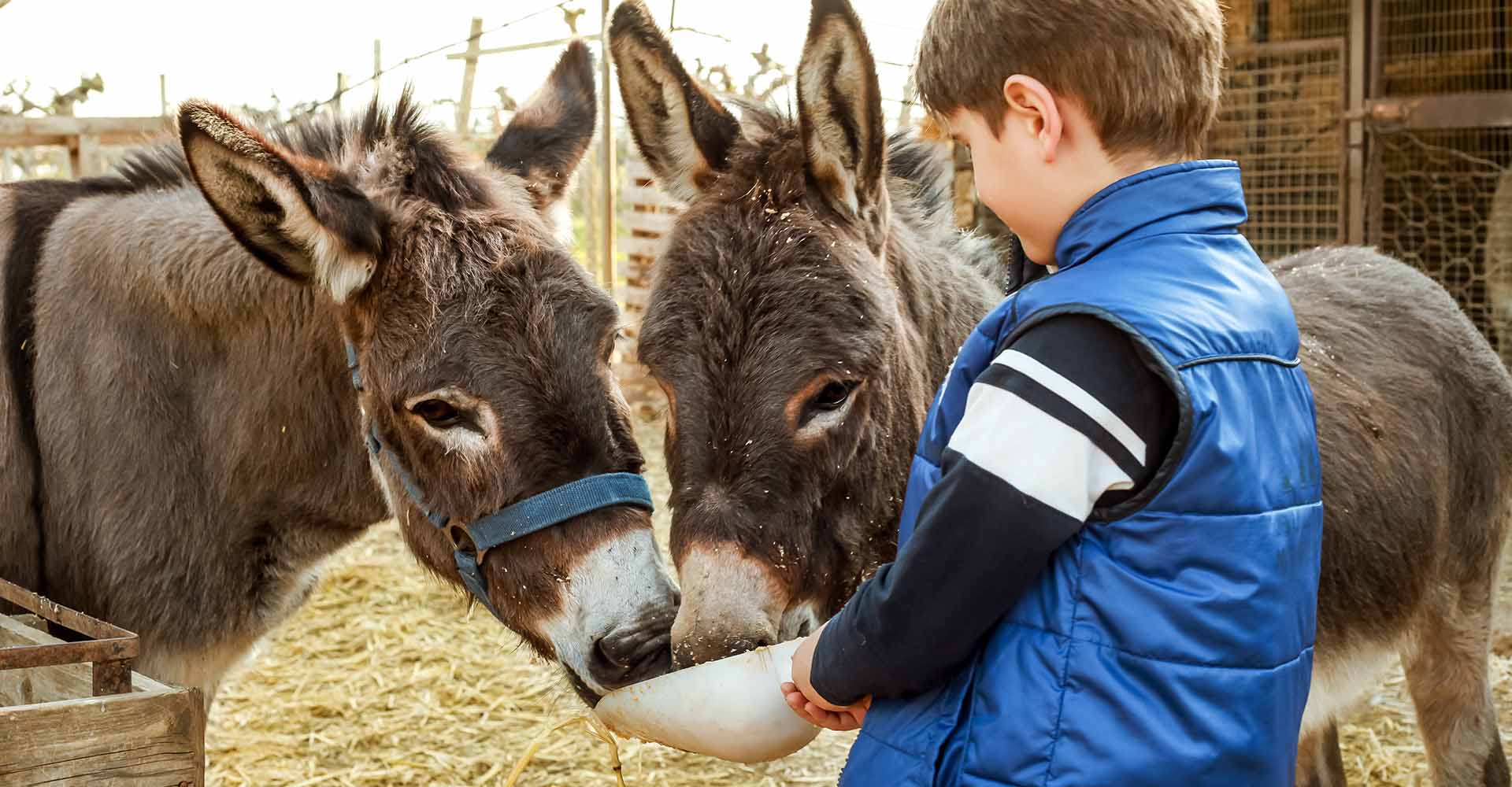 Pasqua e Pasquetta in agriturismo