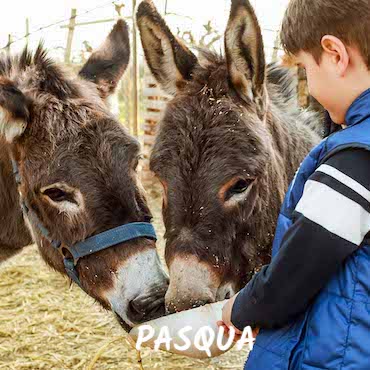 Offerta di Pasqua agriturismo Basilicata