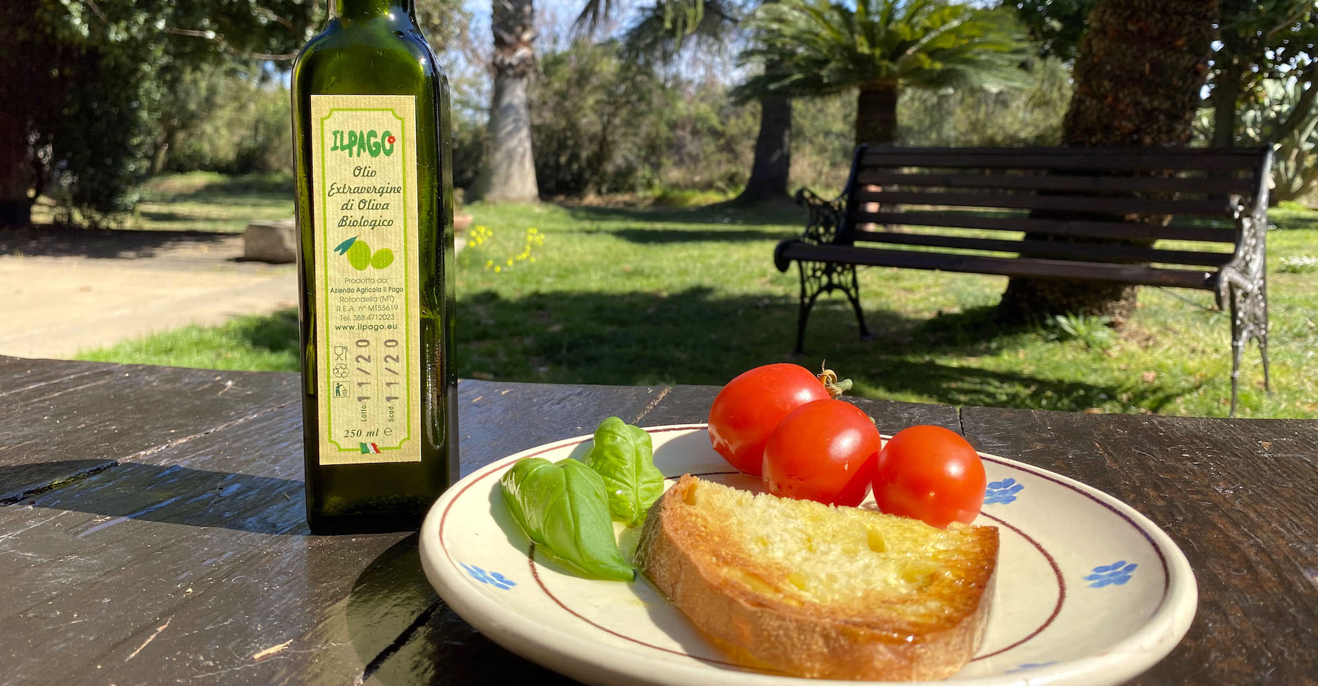 Pane Olio Extravergine di Oliva Biologico pomodorini