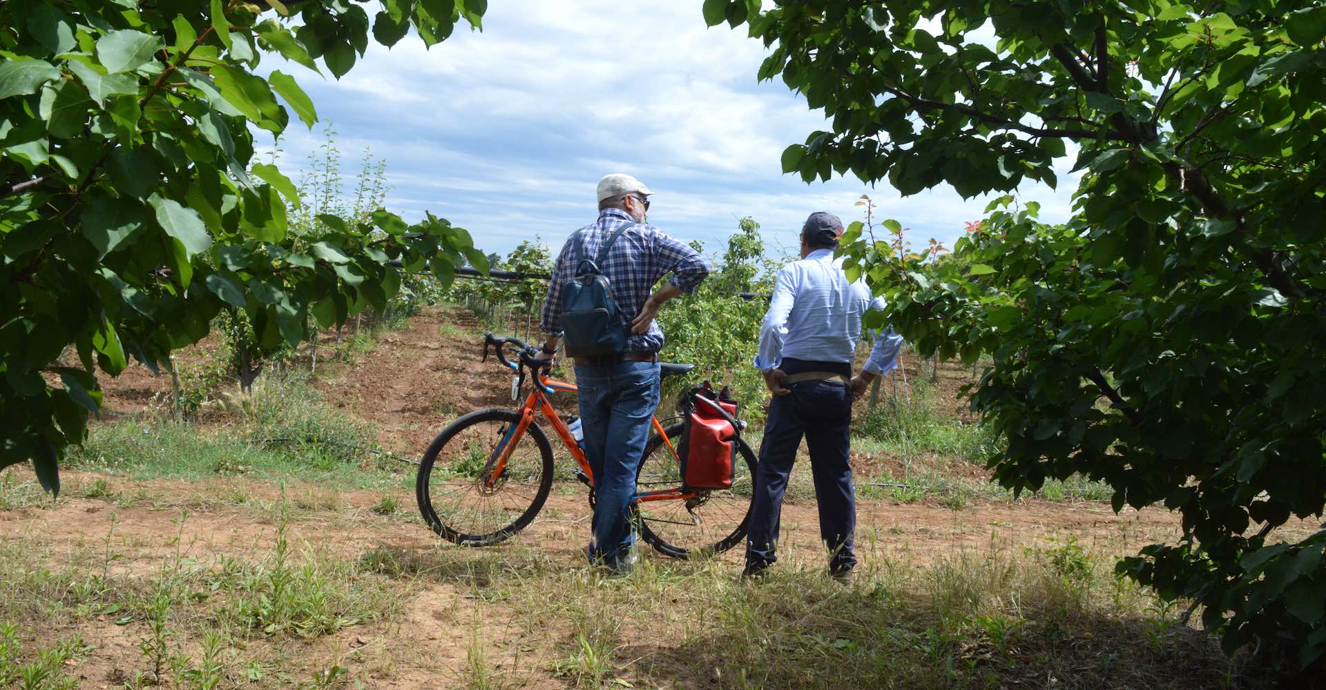 Agriturismo Bike Friendly Ciclovia Basilicata