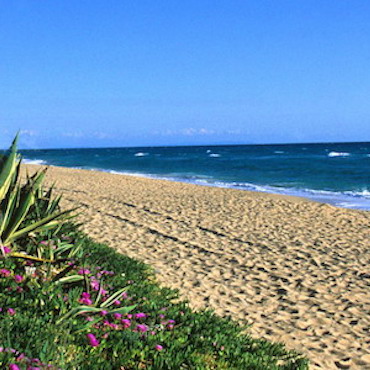 Mare Jonio in Basilicata
