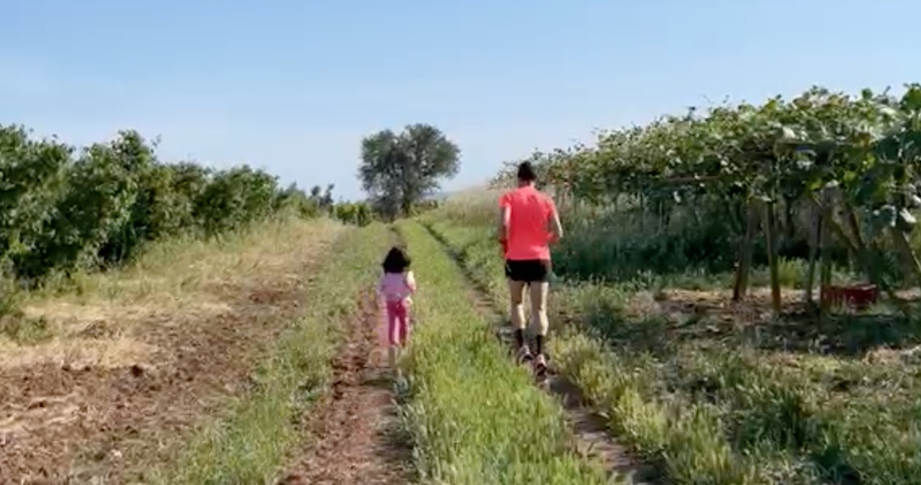 Trail Running in fattoria per bambini